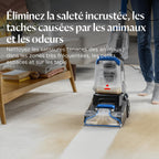 Shampouineuse PowerWash Compact Pet 600W nettoyage taches odeurs animaux canapé tissu tapis moquette