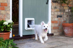 Grande chatière à puce électronique SureFlap pour chats petits chiens couvre-feu ouverture 178 x 170 mm blanc