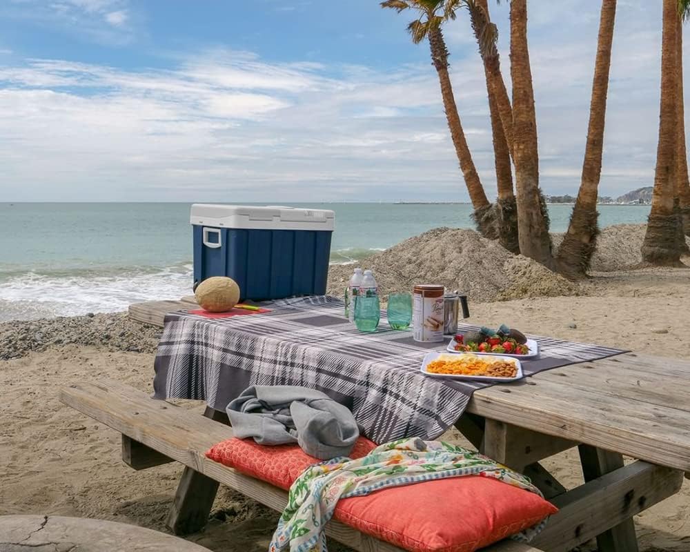 Glacière électrique portable MQ40W 39 L 12 V et 230 V thermoélectrique avec roues refroidissement 18 °C bleu