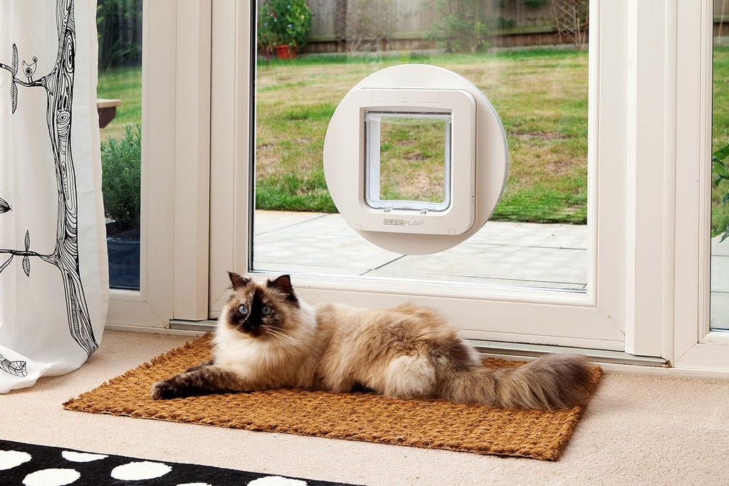 Grande chatière à puce électronique SureFlap pour chats petits chiens couvre-feu ouverture 178 x 170 mm blanc