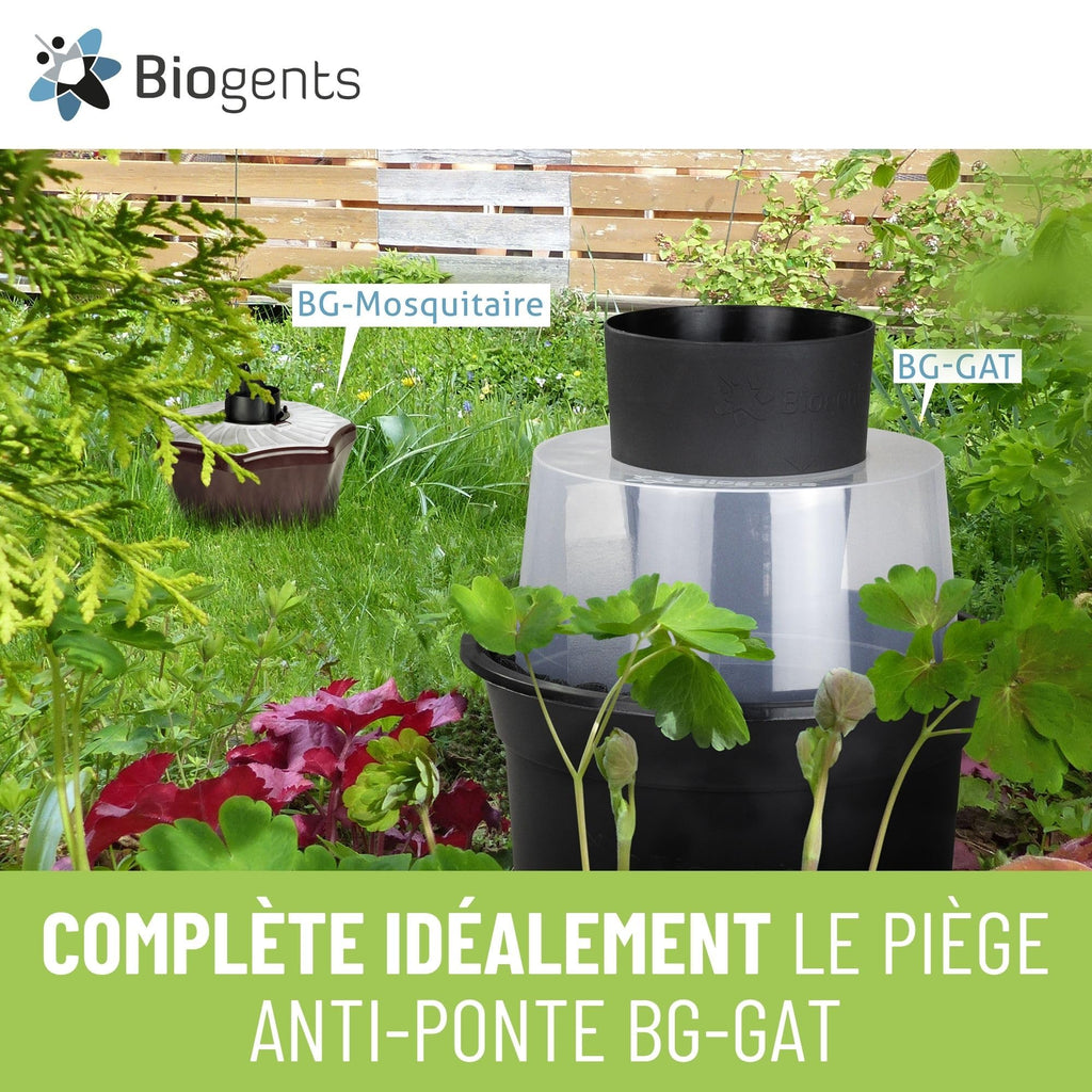 Piège extérieur anti moustiques tigres BG-Mosquitaire 13101 avec recharge attractif 6 mois et alimentation secteur