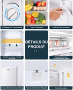 Petit réfrigérateur BR321 91 L avec congélateur 8,5 L thermostat réglable porte réversible blanc