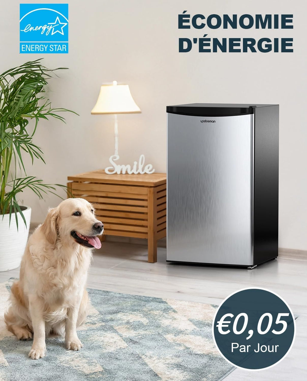 Petit réfrigérateur BR321 91 L avec congélateur 8,5 L thermostat réglable porte réversible acier inoxydable