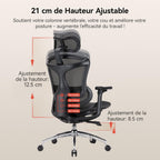 Chaise de bureau ergonomique Doro C300 V2 soutien lombaire dynamique accoudoirs 3D dossier réglable charge 150 kg noir