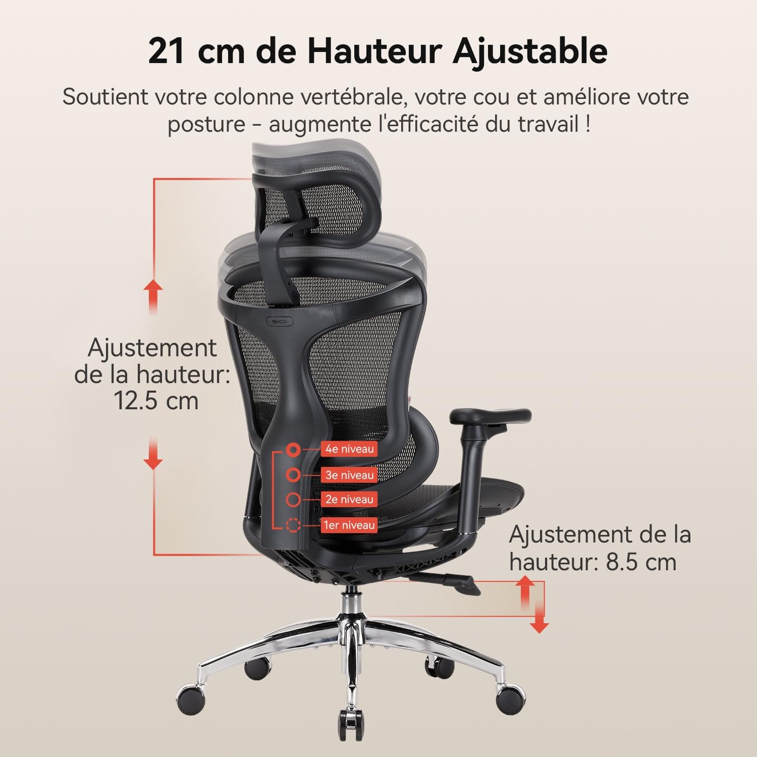 Chaise de bureau ergonomique Doro C300 V2 soutien lombaire dynamique accoudoirs 3D dossier réglable charge 150 kg noir
