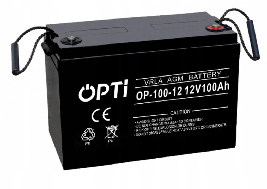 Silnik elektryczny zaburtowy Protruar 1.0 R2 65lbs 12V 600W z akumulatorem AGM 100Ah i ładowarką