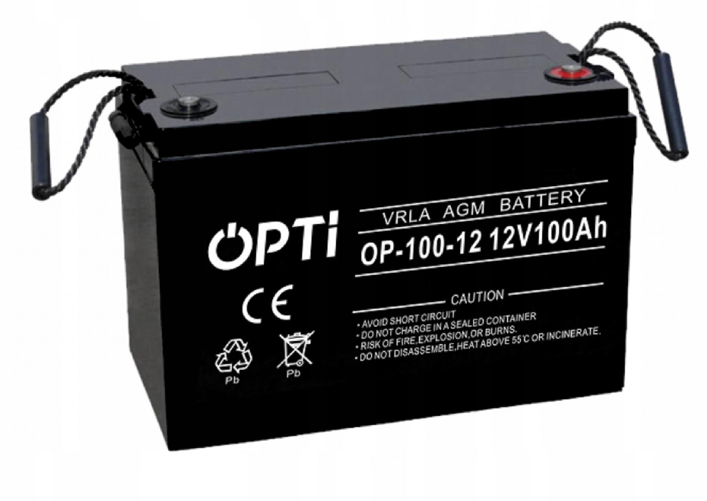 Silnik elektryczny zaburtowy Protruar 1.0 R2 65lbs 12V 600W z akumulatorem AGM 100Ah i ładowarką