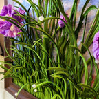 Ramka na zdjęcia Chenille Iris, 21x29,7 cm, skręcany patyczek DIY z filmem