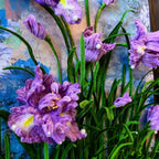 Ramka na zdjęcia Chenille Iris, 21x29,7 cm, skręcany patyczek DIY z filmem